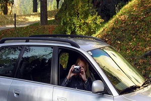 Berufsdetektivassistent/in